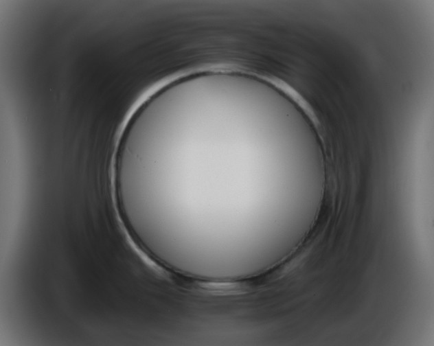 X0000086041343200704131926