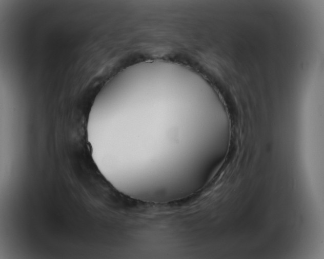 X0000086041349200704131926