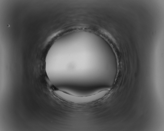 X0000086041352200704131926