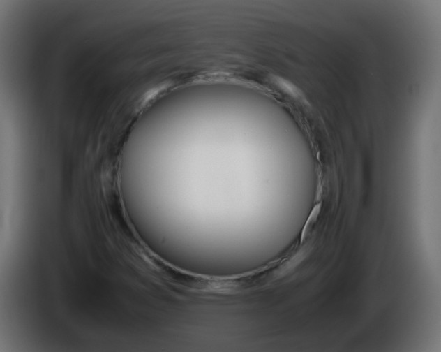 X0000086041353200704131926