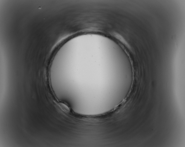 X0000086041356200704131926