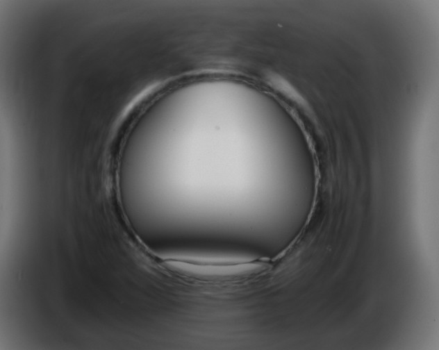 X0000086041360200704131925