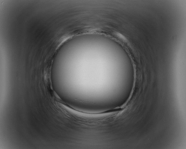X0000086041361200704131925