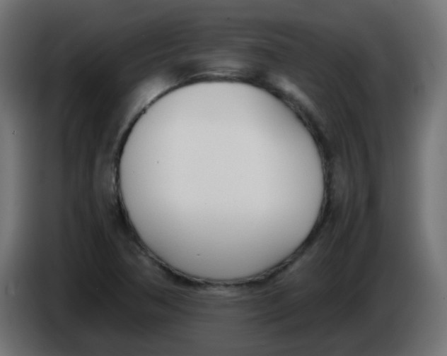 X0000086041362200704131925