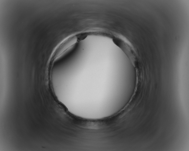 X0000086041364200704131925