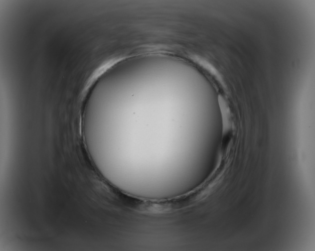 X0000086041365200704131925