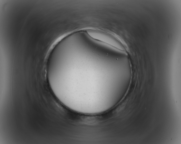 X0000086041367200704131925