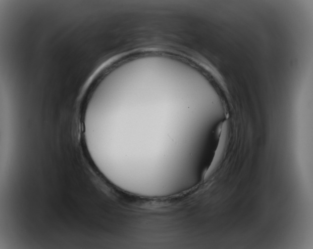 X0000086041368200704131925