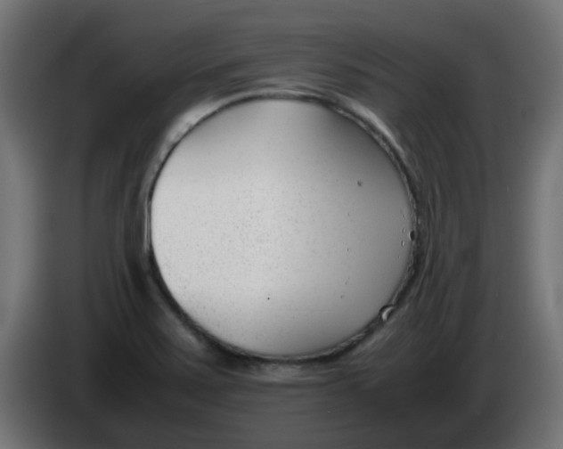 X0000086041371200704131925