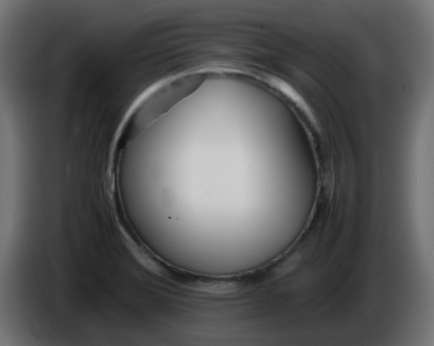 X0000086041372200704131925