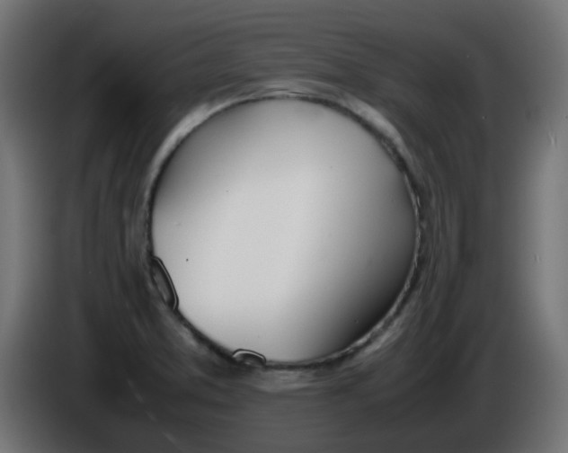 X0000086041373200704131925
