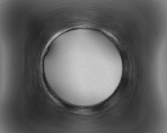 X0000086041375200704131925