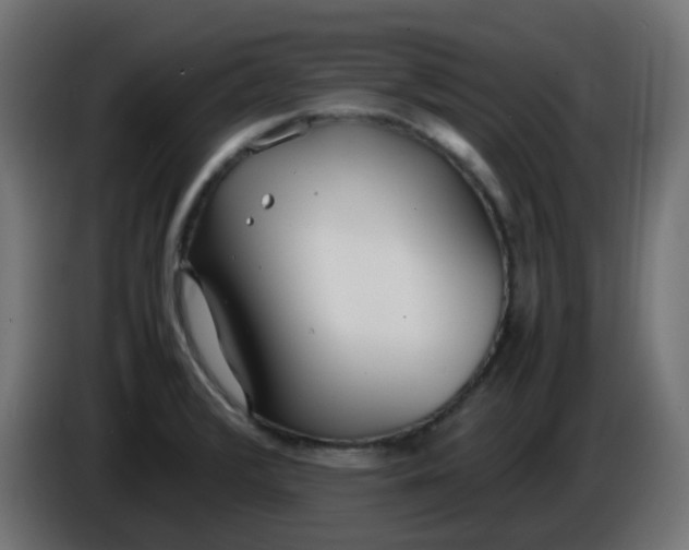 X0000086041376200704131925