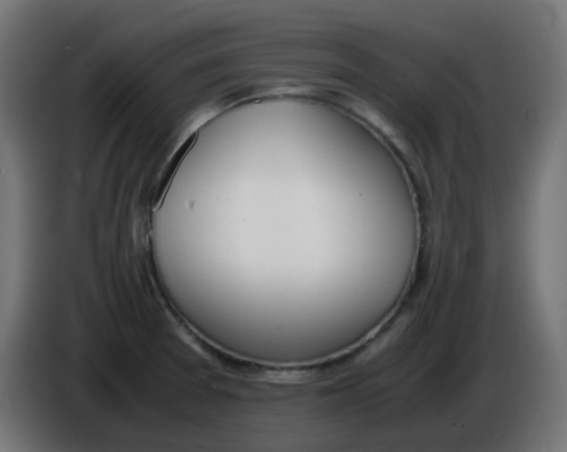 X0000086041377200704131925