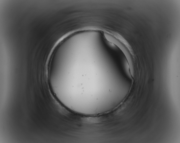 X0000086041380200704131925