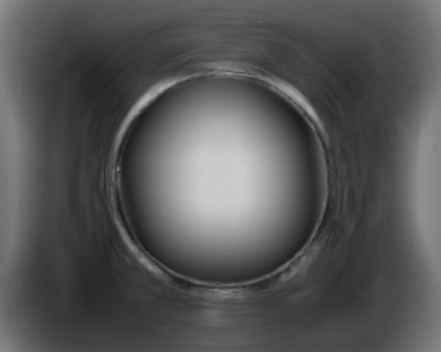 X0000086041381200704131925
