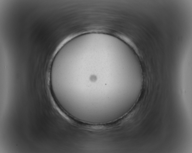 X0000086041383200704131925