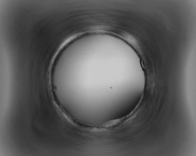 X0000086041384200704131925