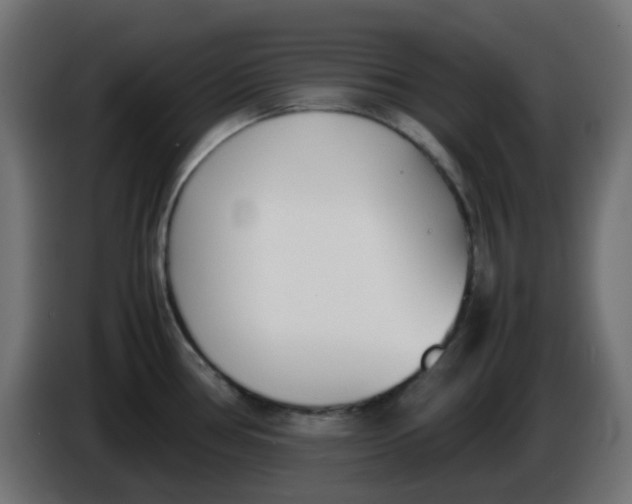 X0000086041386200704131925