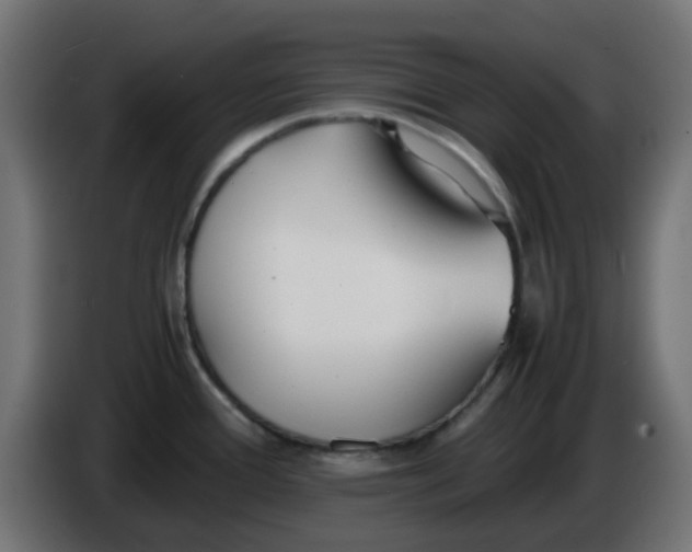 X0000086041388200704131925