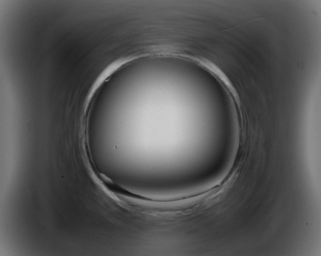 X0000086041389200704131925