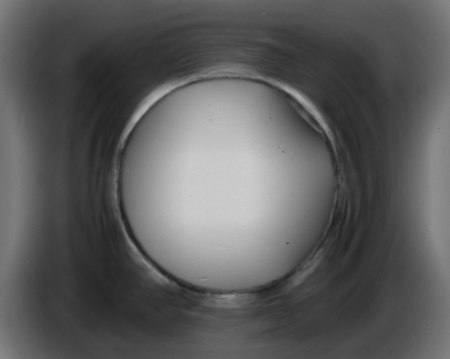 X0000086041390200704131925