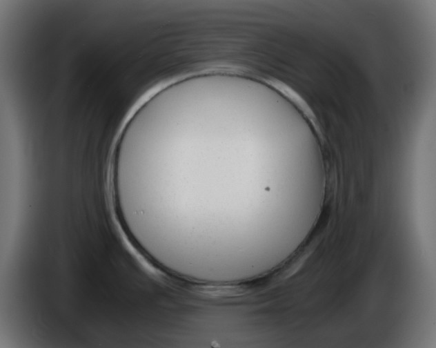 X0000086041391200704131925