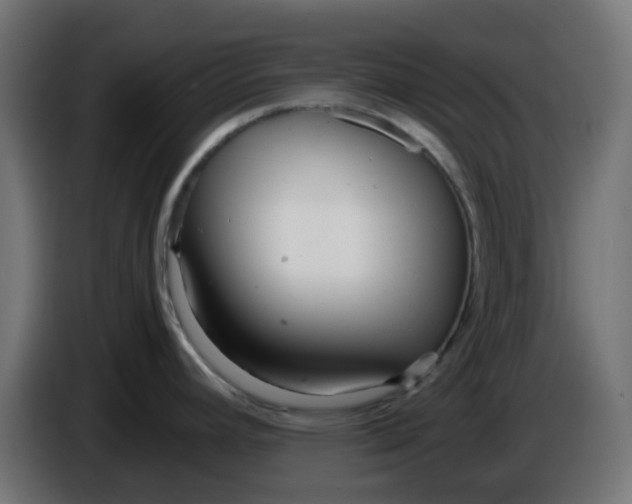 X0000086041392200704131925