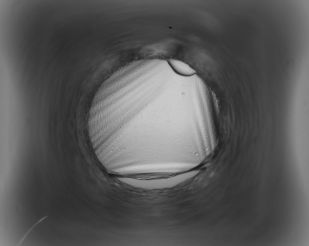 X0000086041393200704131924