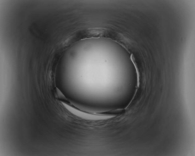 X0000086041394200704131924