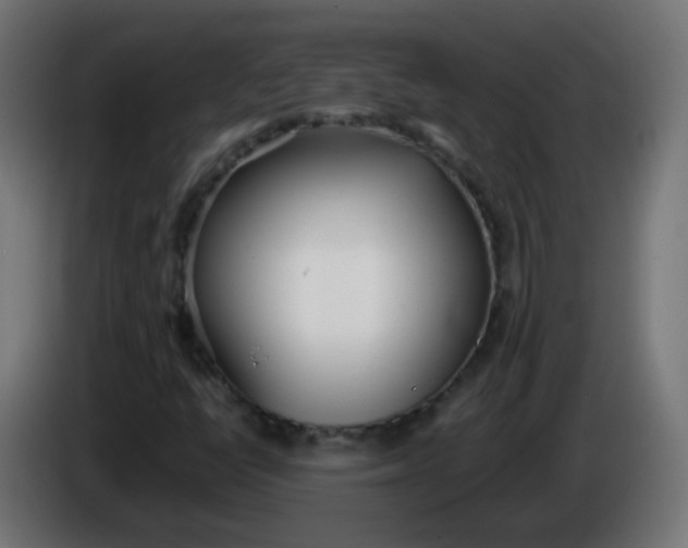 X0000086041398200704131924