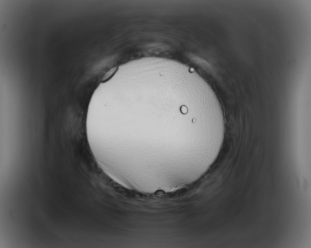 X0000086041399200704131924