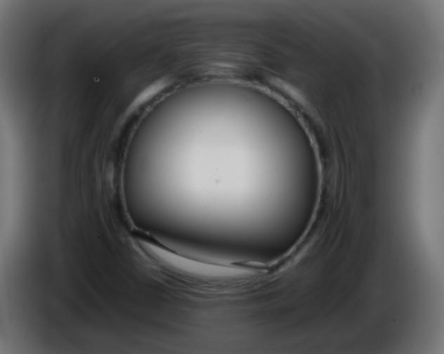 X0000086041402200704131924