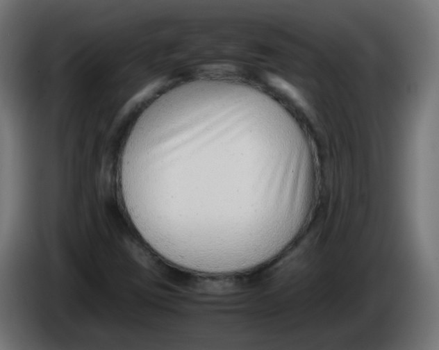 X0000086041403200704131924