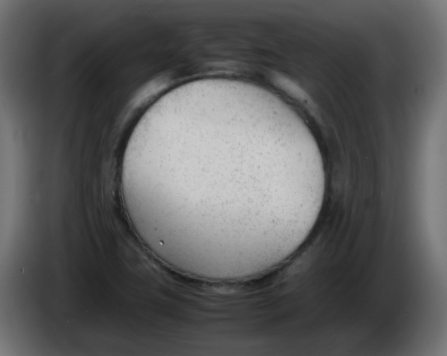 X0000086041411200704131925