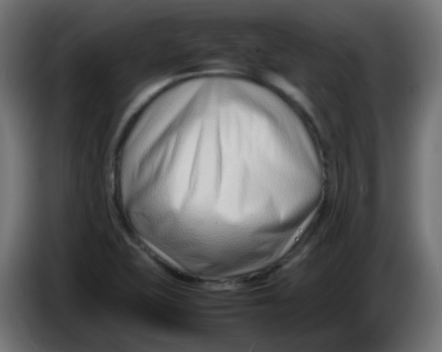X0000086041415200704131925