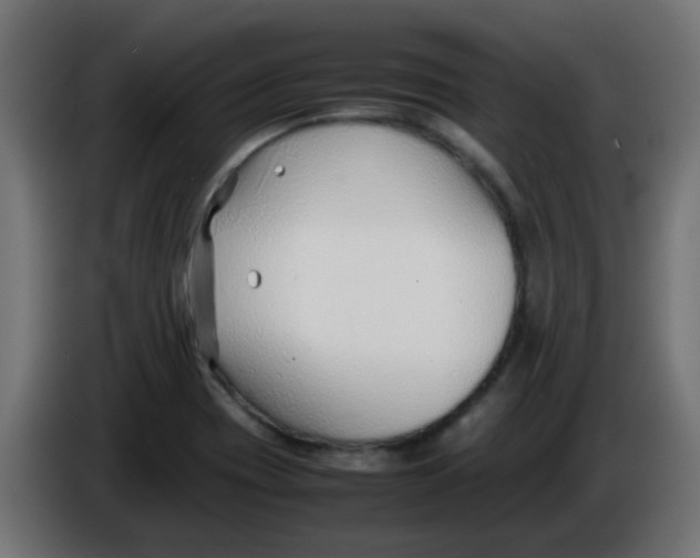 X0000086041417200704131925