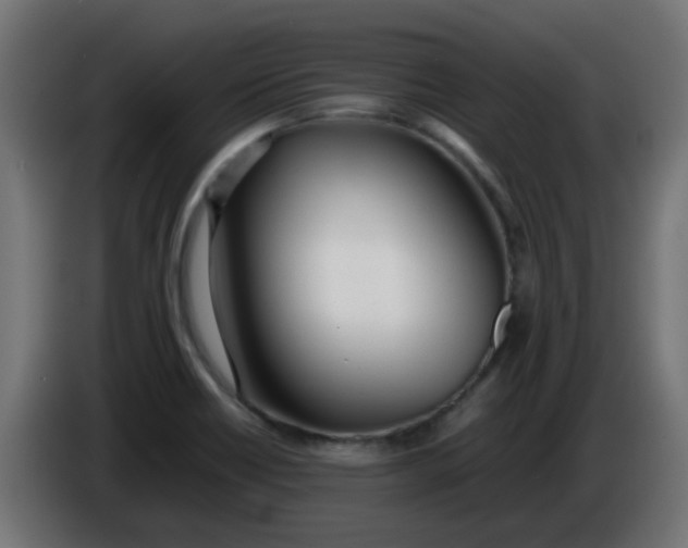 X0000086041418200704131925