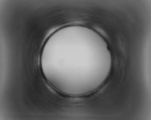 X0000086041420200704131925