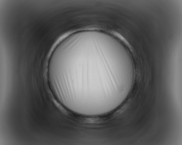 X0000086041421200704131925