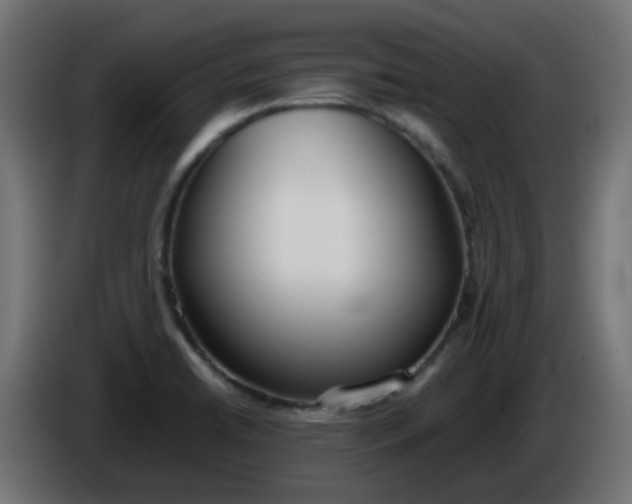 X0000086041422200704131925