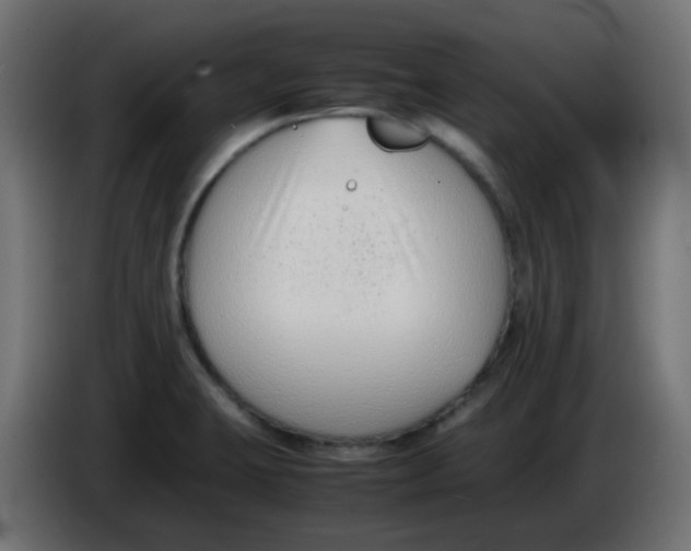 X0000086041423200704131925
