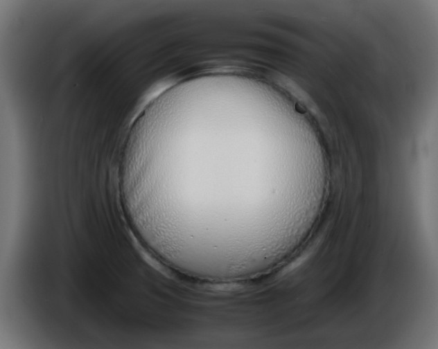 X0000086041425200704131925