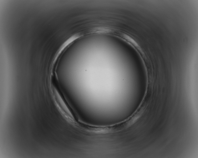 X0000086041426200704131925
