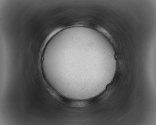 X0000086041427200704131925