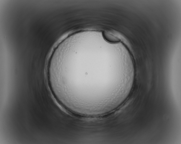 X0000086041429200704131925