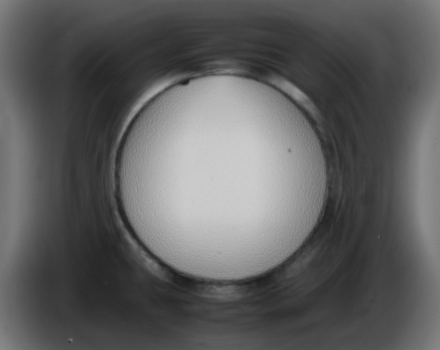 X0000086041431200704131925