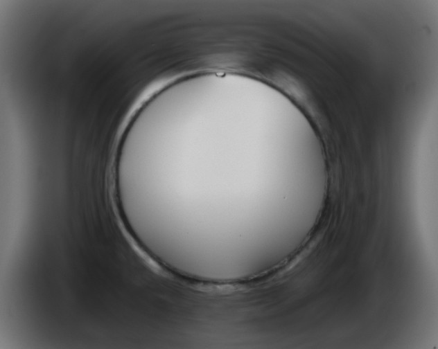 X0000086041432200704131925