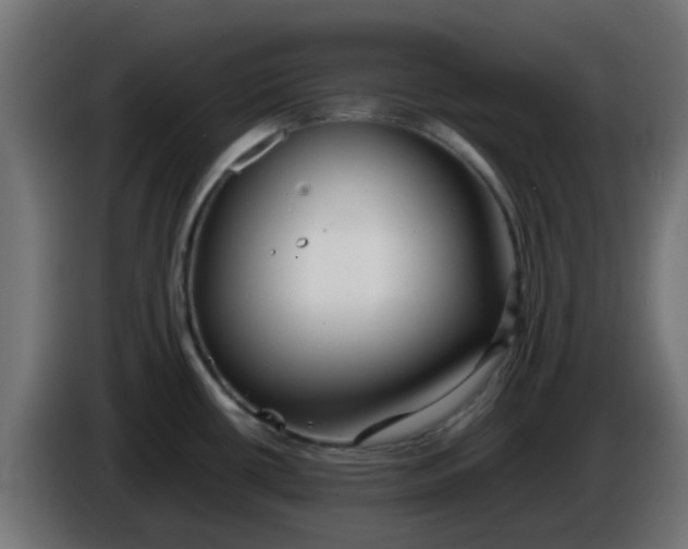X0000086041434200704131925