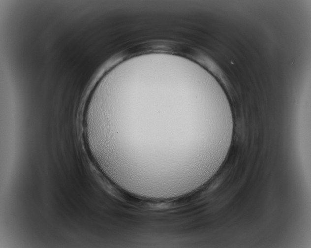 X0000086041435200704131925